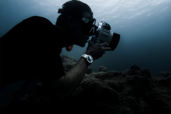 Ulysse Nardin Diver Chronograph Great White Luxury Watch