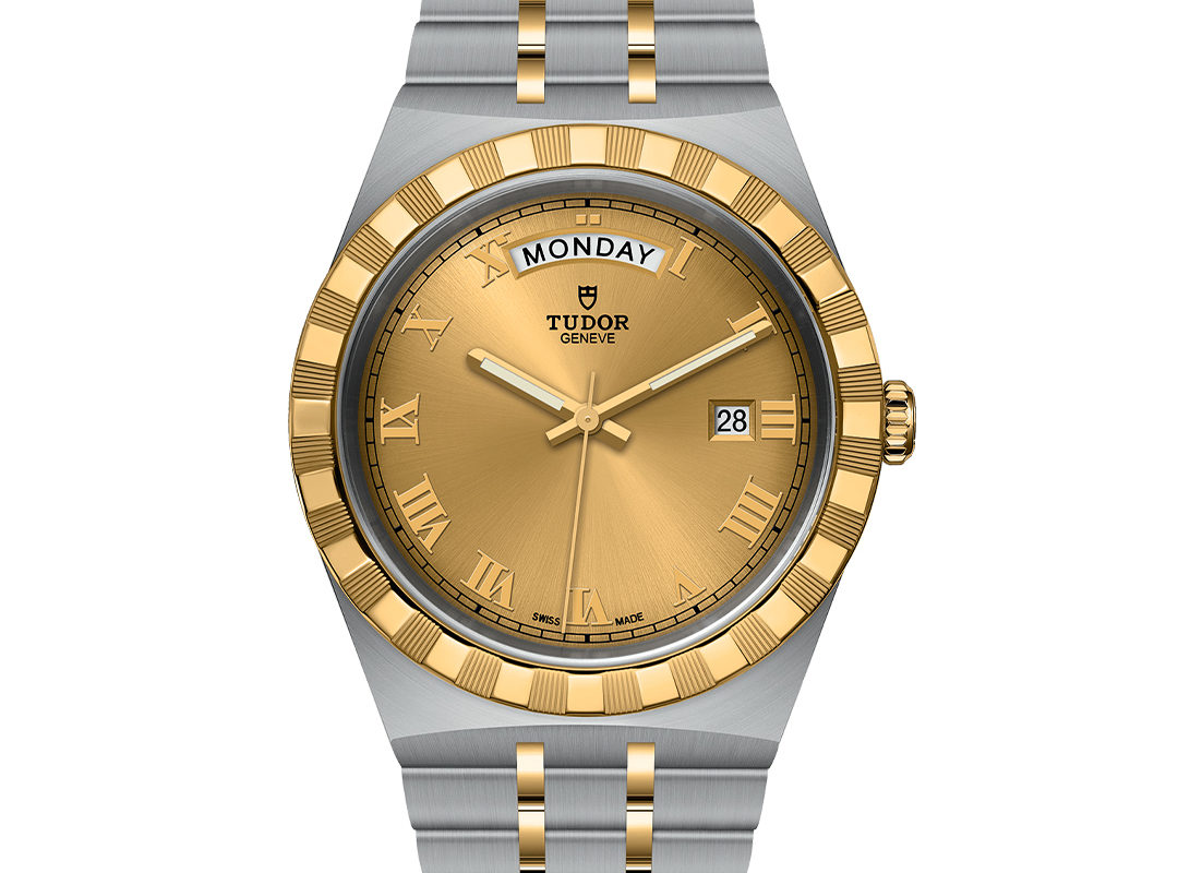 Tudor best sale royal range